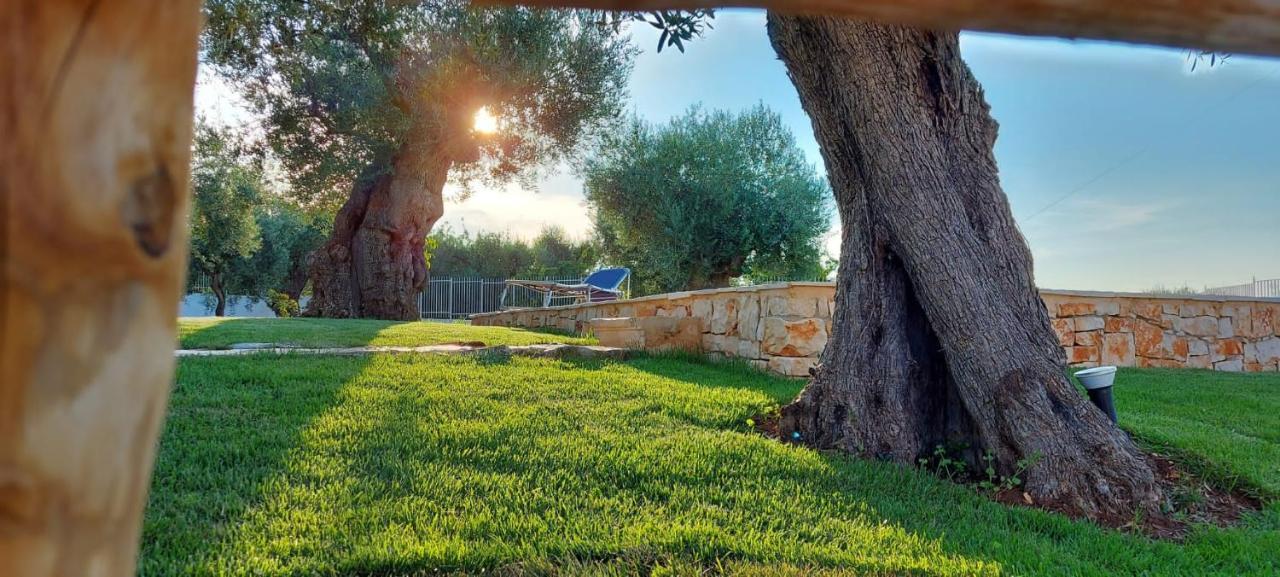 דירות Antonelli Trulli Lisanna - Apulian Hideaway With Pool מראה חיצוני תמונה